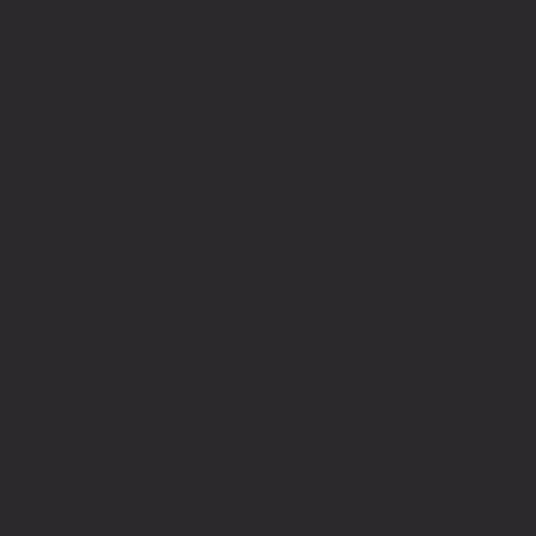 Passport Cover - Image 3