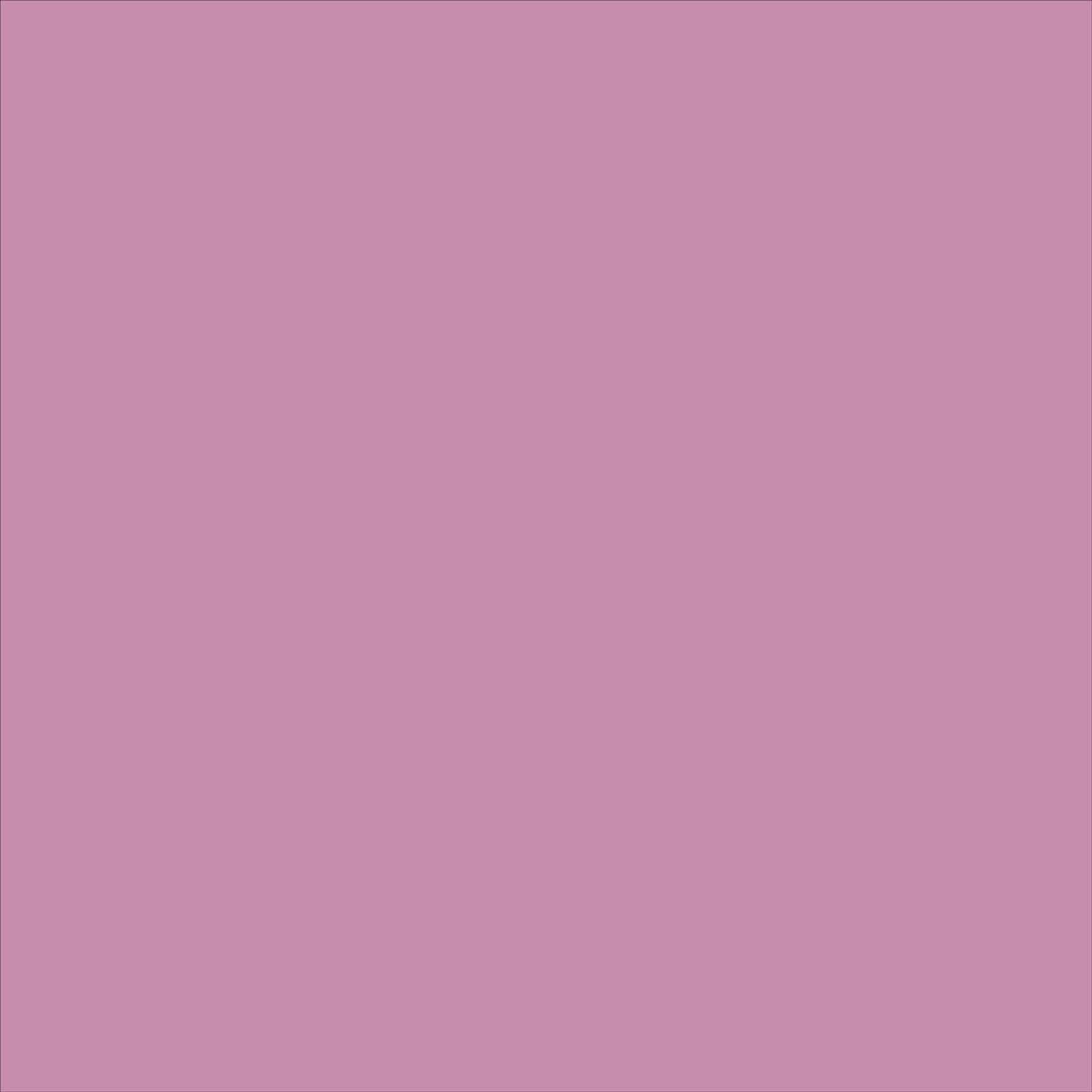Card Case - Image 3