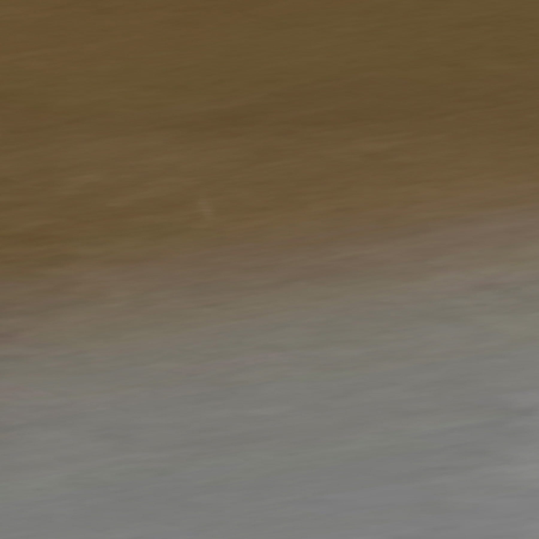 Dall Polarized Sunglasses - Image 5